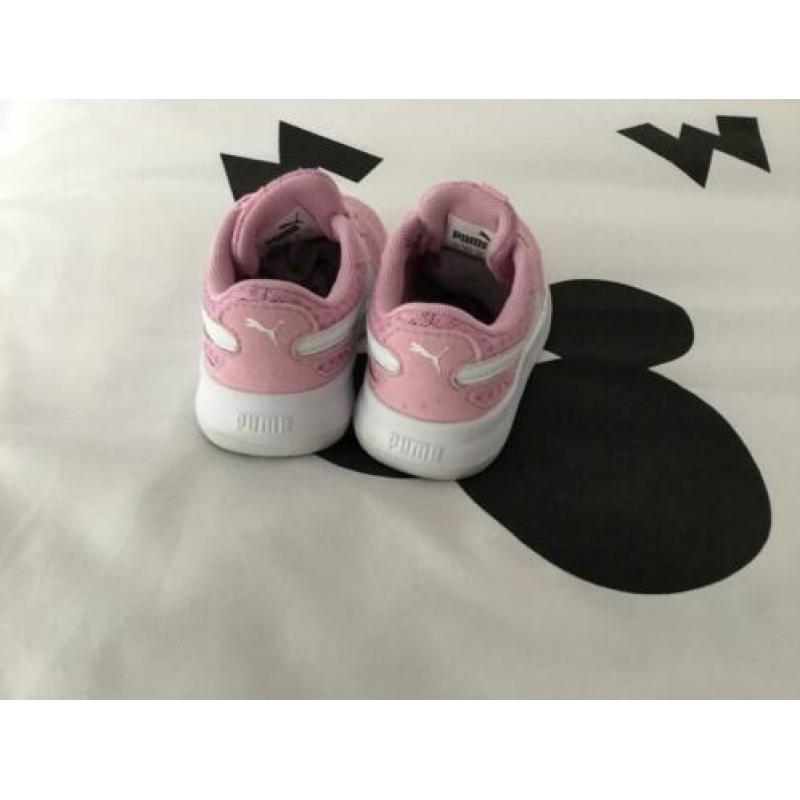 Roze puma