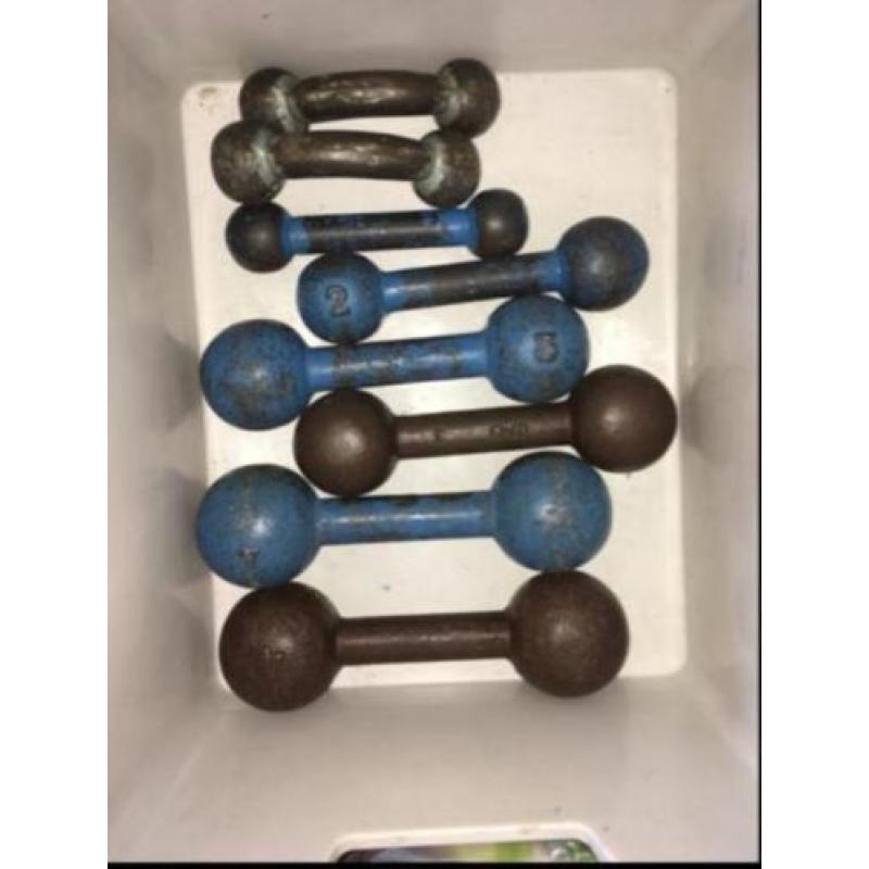 Oude vintage dumbells halters