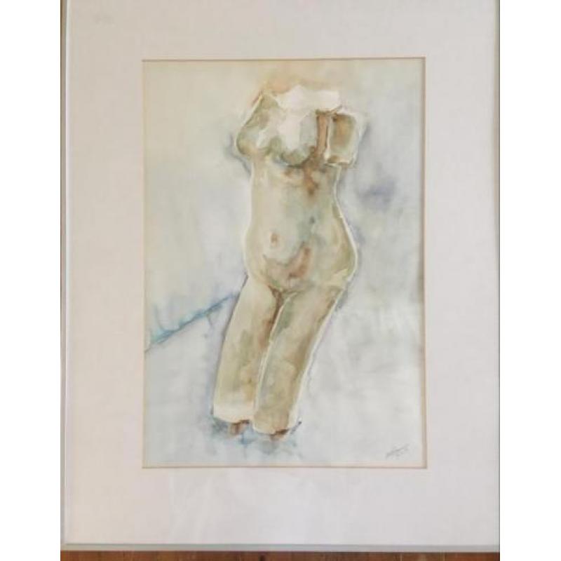 Aquarel torso naakt 45cm x 66cm