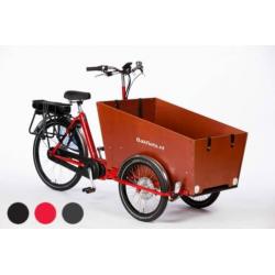 cargoTrike Classic Narrow Steps