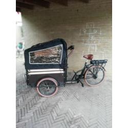 bakfiets family mover