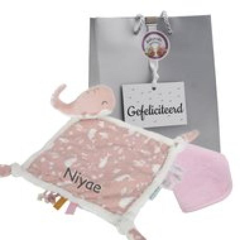 Babypakketje Little Dutch roze met naam