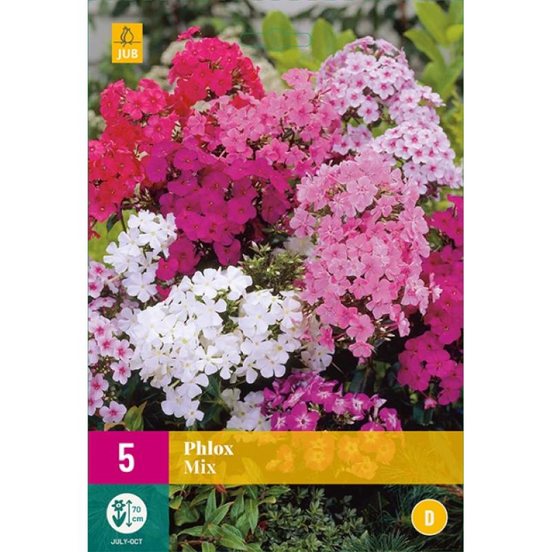 Phlox Mix - Vlammenbloem