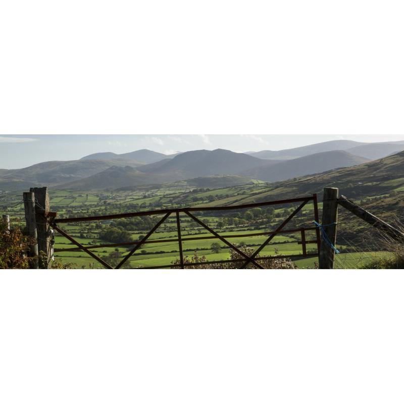 Cooley Peninsula & Mourne Mountains