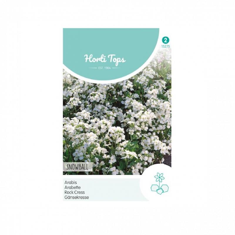 Horti Tops Arabis, Scheefkelk Snowball